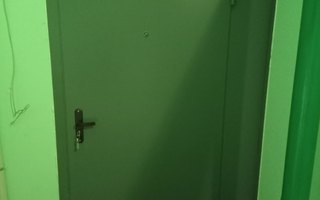 тамбурная дверь с окрасом нитроэмалевой краской