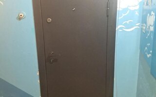 дверь для установки в квартиру, отделка - порошковое покрытие и МДФ